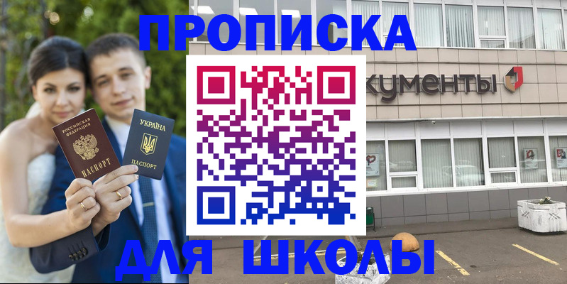 временная регистрация госуслуги в Никольске